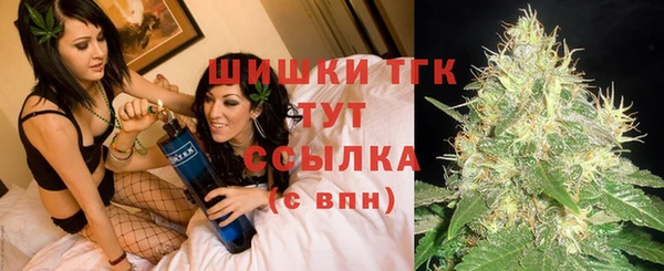 эйфоретик Алексин