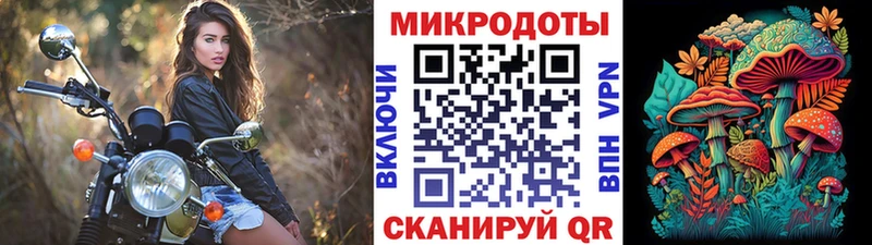 Галлюциногенные грибы Psilocybine cubensis Соликамск