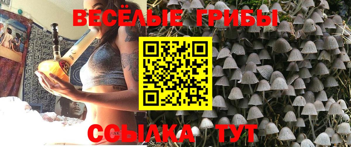 Галлюциногенные грибы мухоморы Соликамск