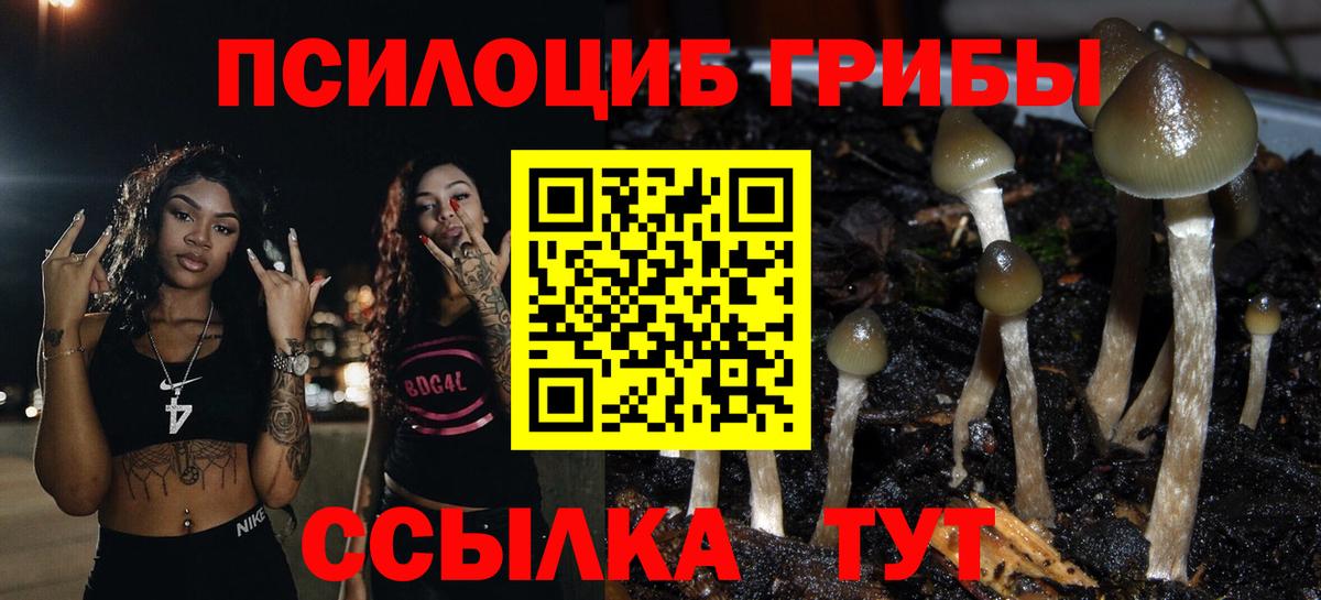 Псилоцибиновые грибы Psilocybine cubensis  Вход с VPN  Галлюциногенные грибы прущие грибы  Соликамск 